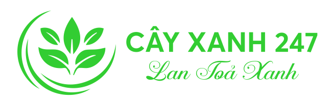 Cây xanh 247